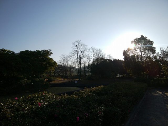 水島緑地福田公園